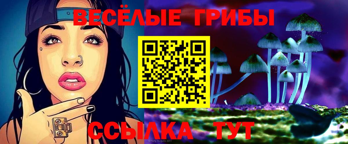 Псилоцибиновые грибы мухоморы Саянск