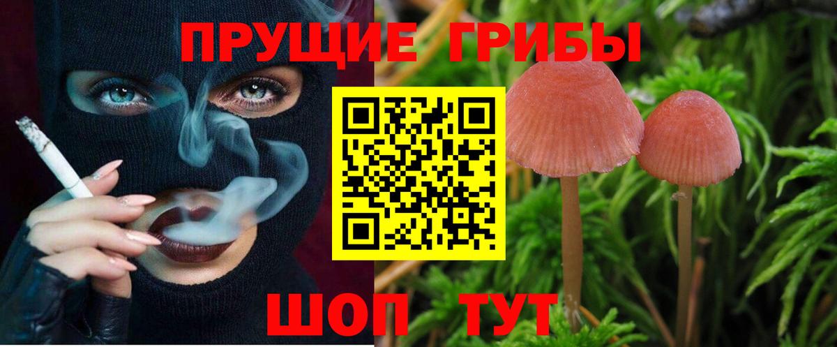 закладки  Галлюциногенные грибы Psilocybine cubensis  Псилоцибиновые грибы прущие грибы  Вход с VPN  Саянск 
